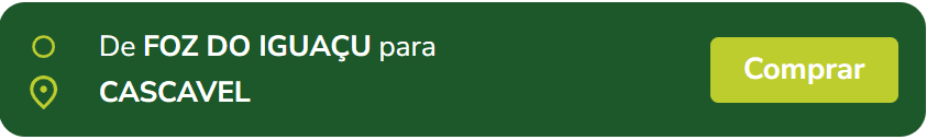 rotas-foz-do-iguacu-pr-cascavel.png