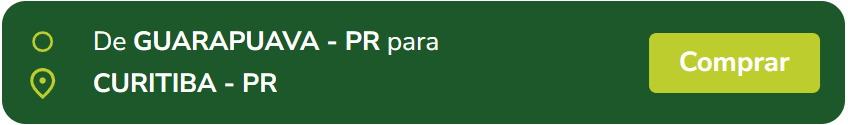 rotas-guarapuava-curitiba.png
